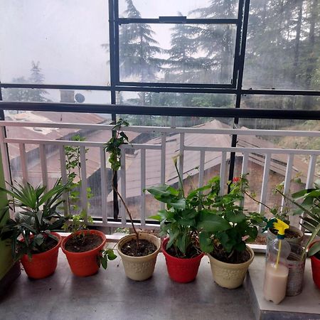 Tree Valley Homestay Чайл Екстериор снимка