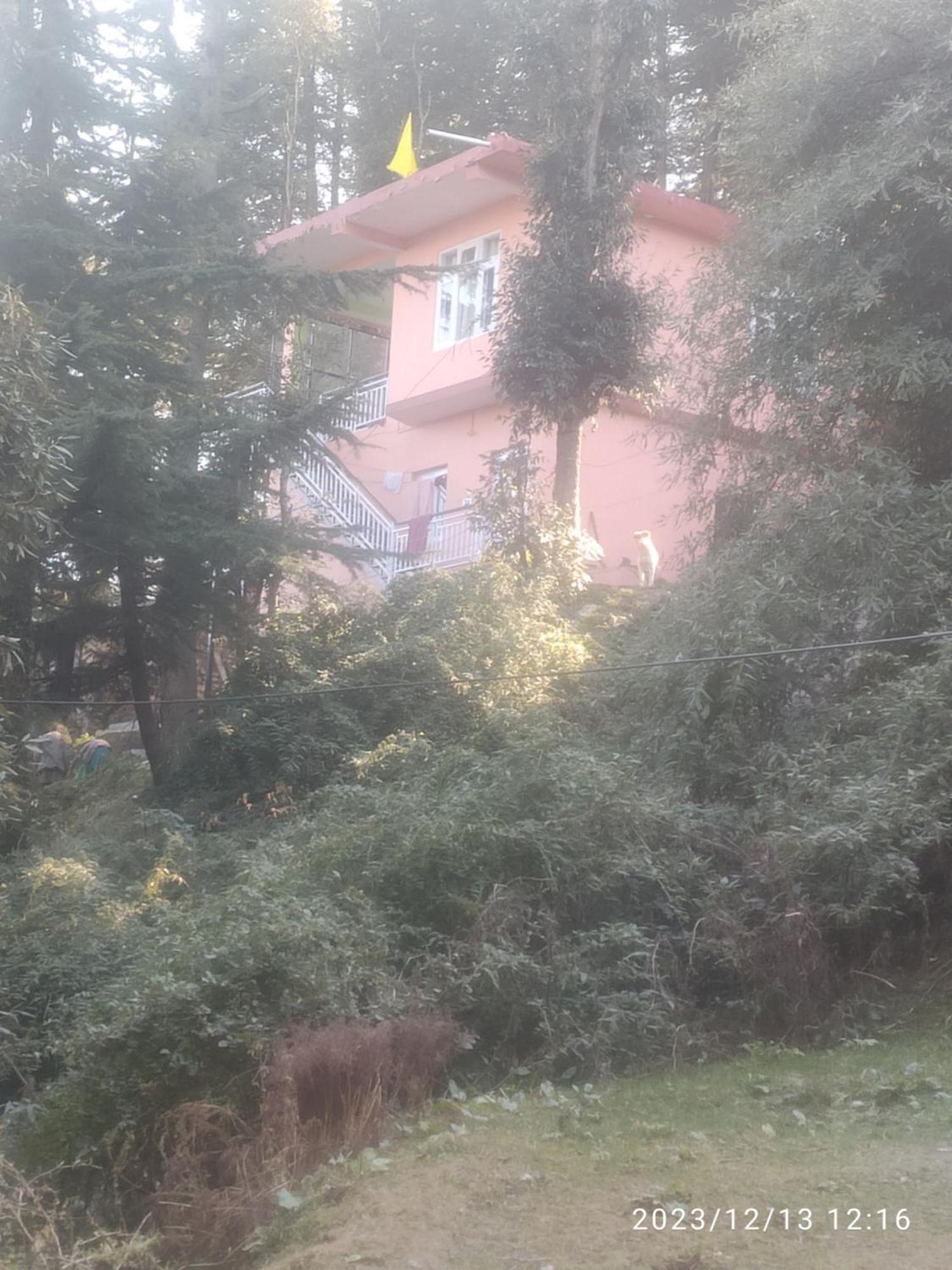 Tree Valley Homestay Чайл Екстериор снимка