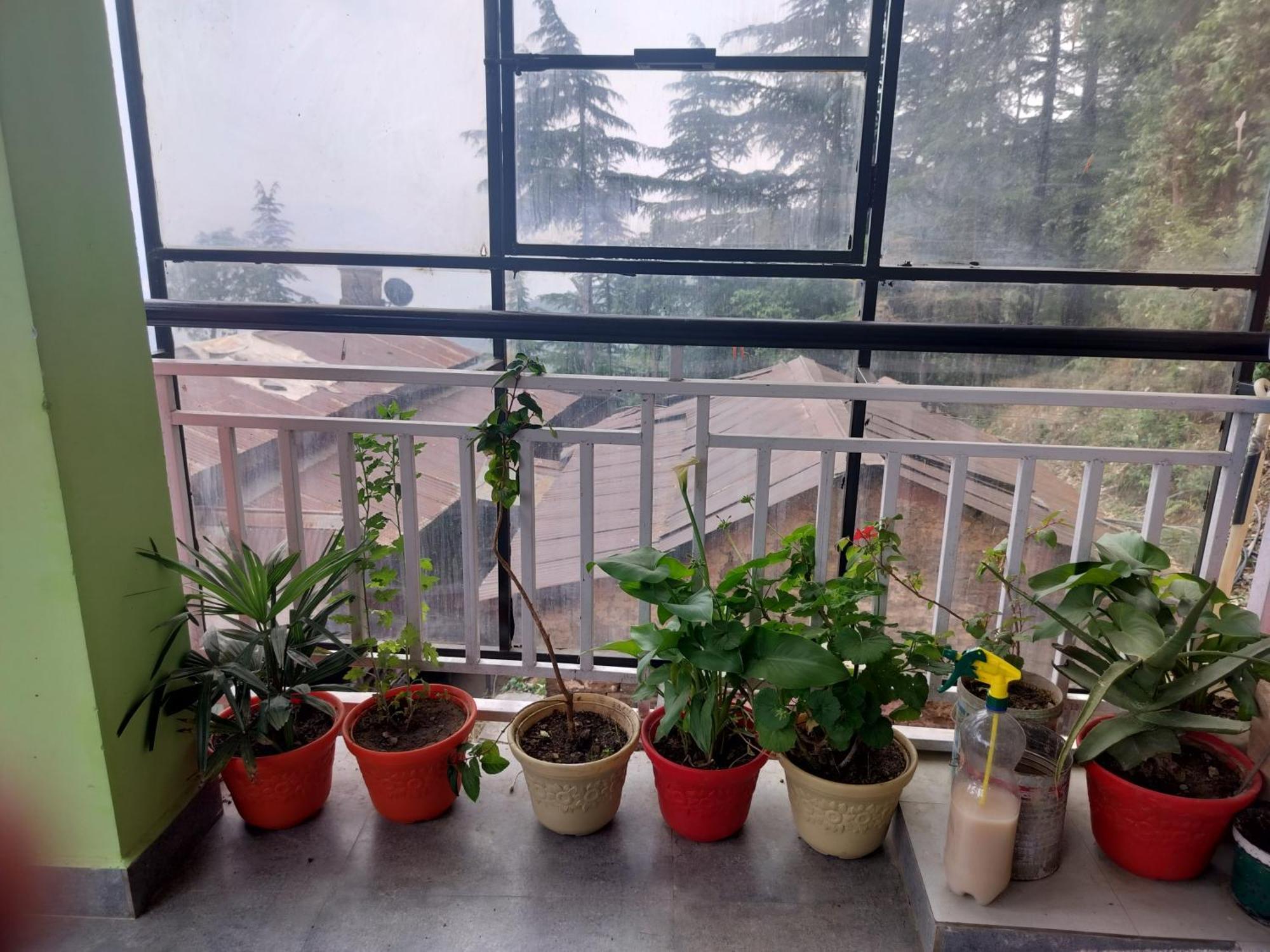 Tree Valley Homestay Чайл Екстериор снимка