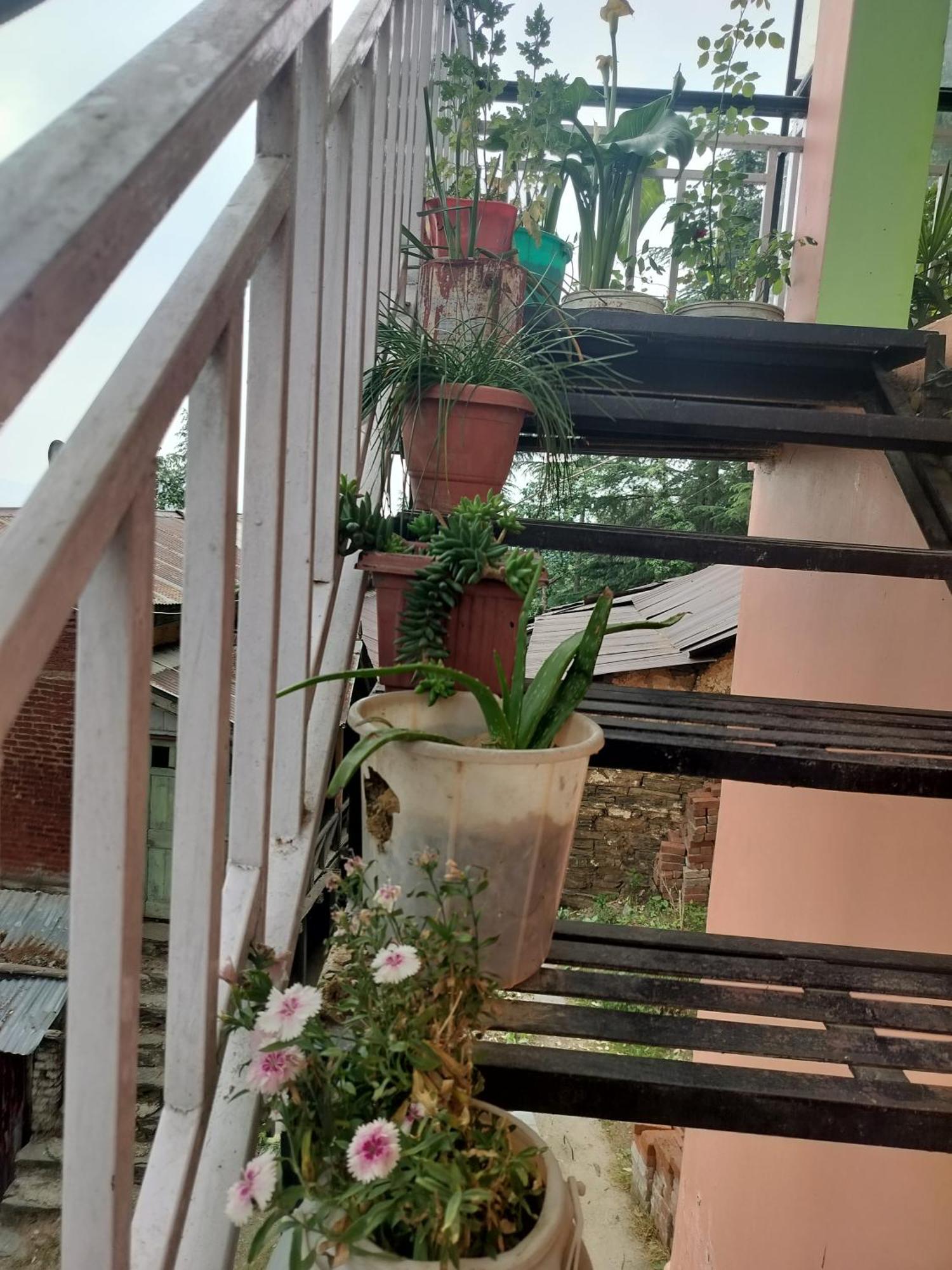 Tree Valley Homestay Чайл Екстериор снимка