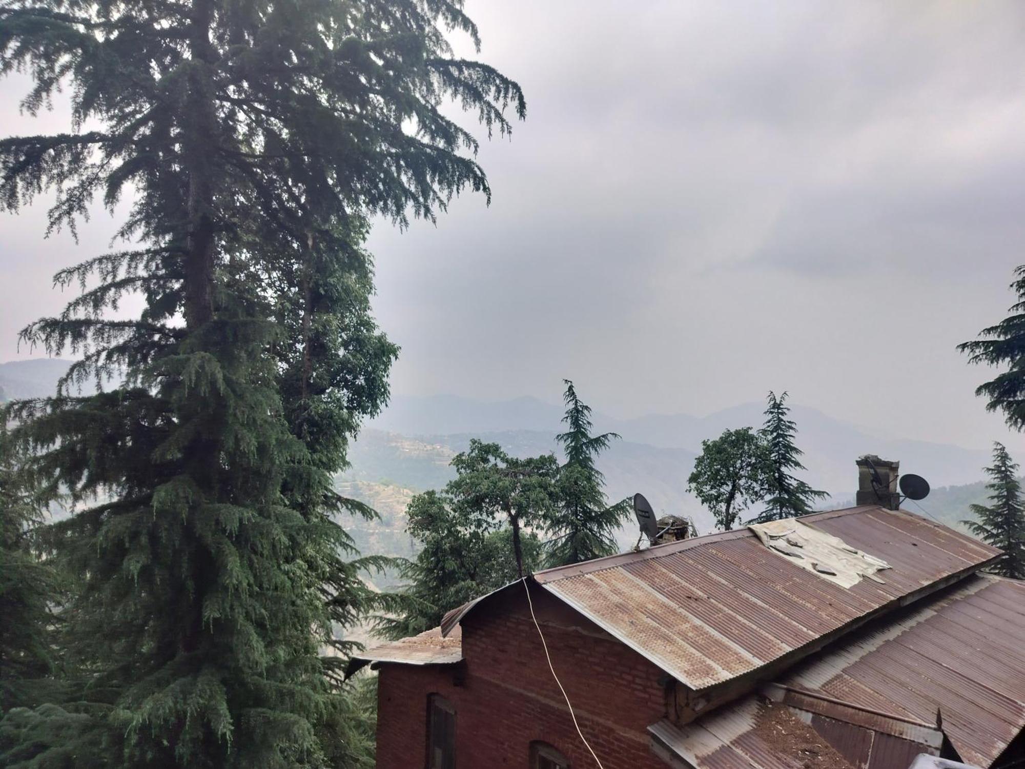 Tree Valley Homestay Чайл Екстериор снимка