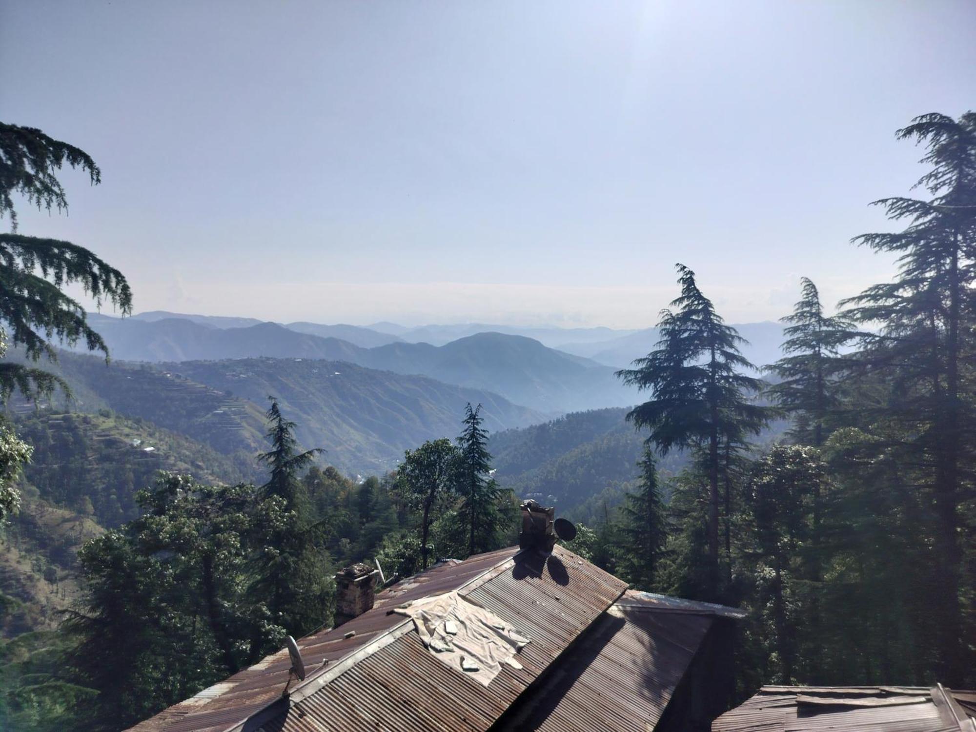 Tree Valley Homestay Чайл Екстериор снимка