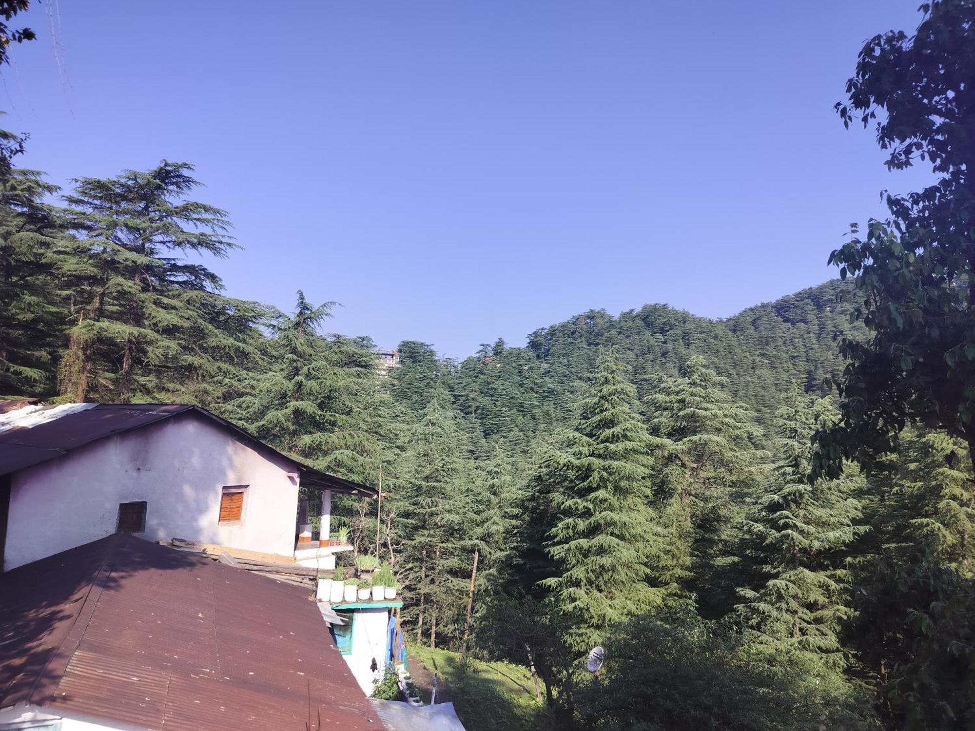 Tree Valley Homestay Чайл Екстериор снимка