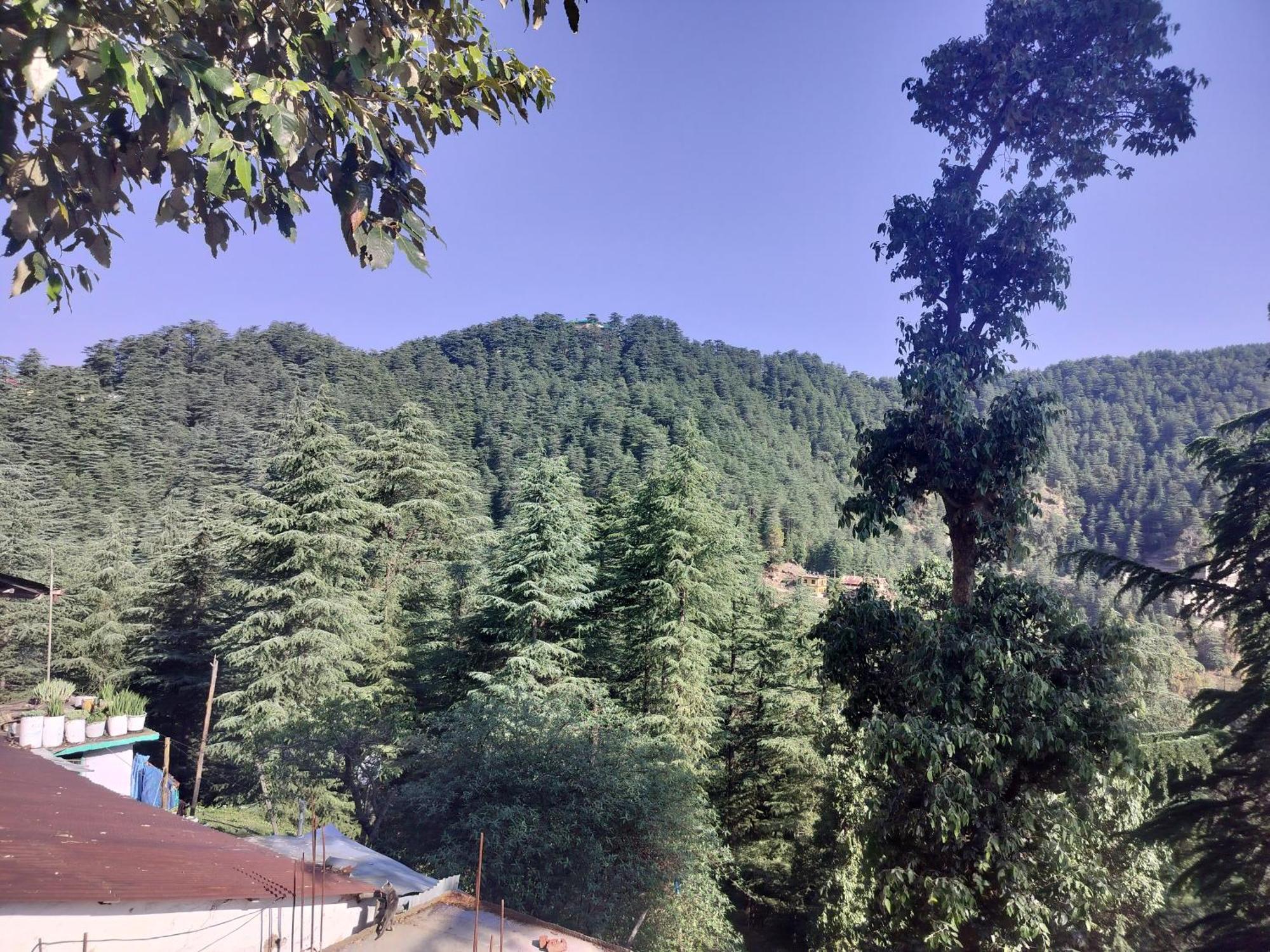 Tree Valley Homestay Чайл Екстериор снимка