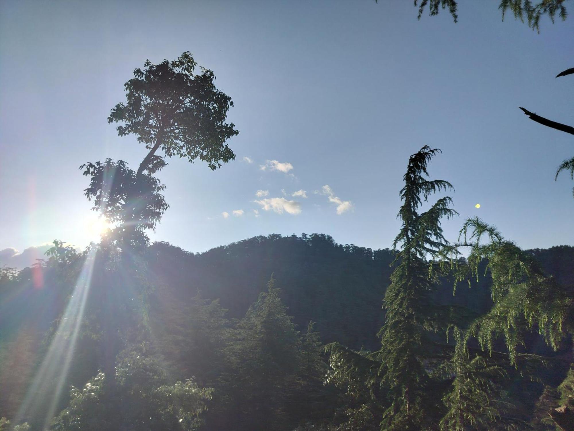 Tree Valley Homestay Чайл Екстериор снимка