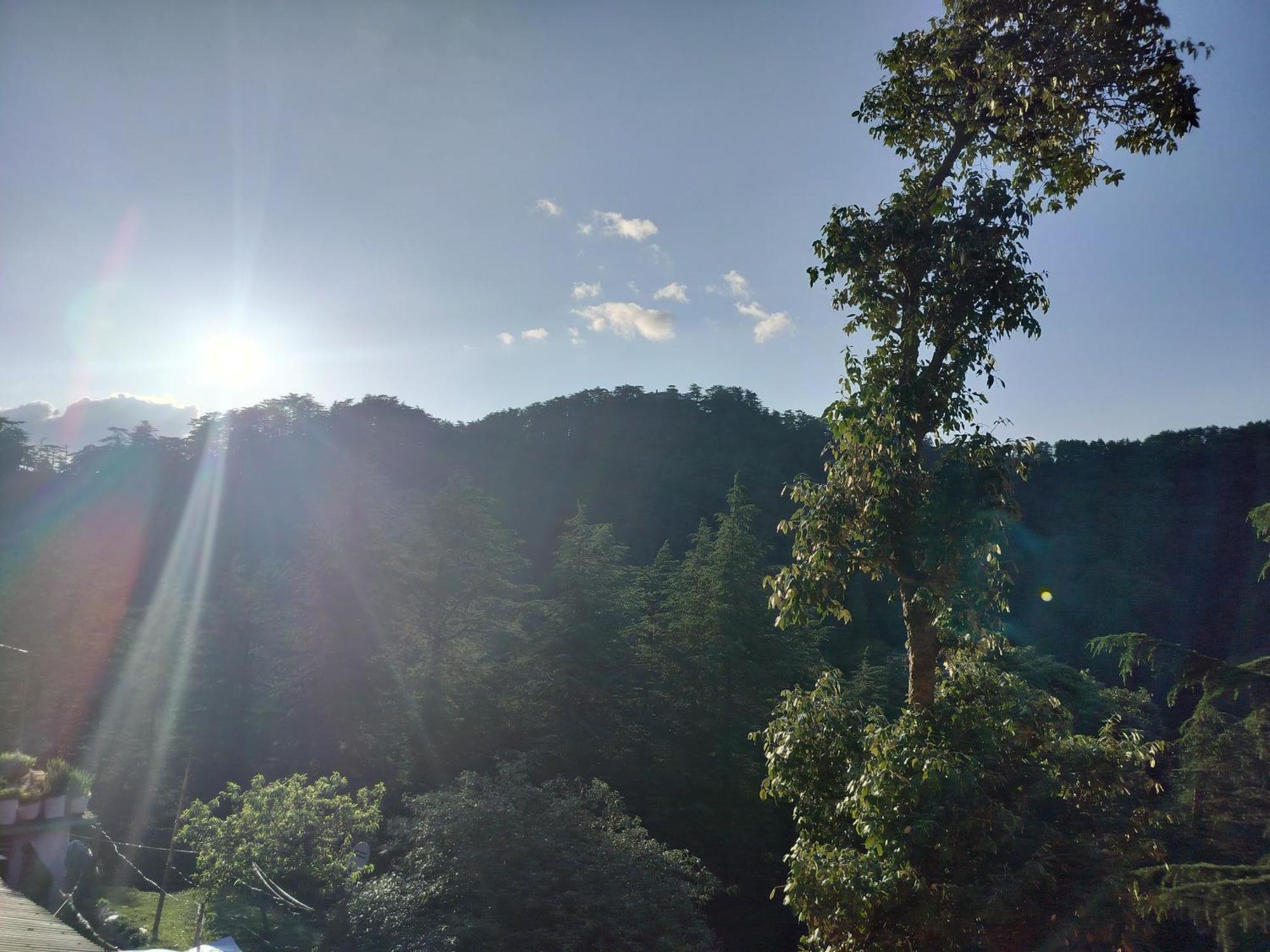 Tree Valley Homestay Чайл Екстериор снимка