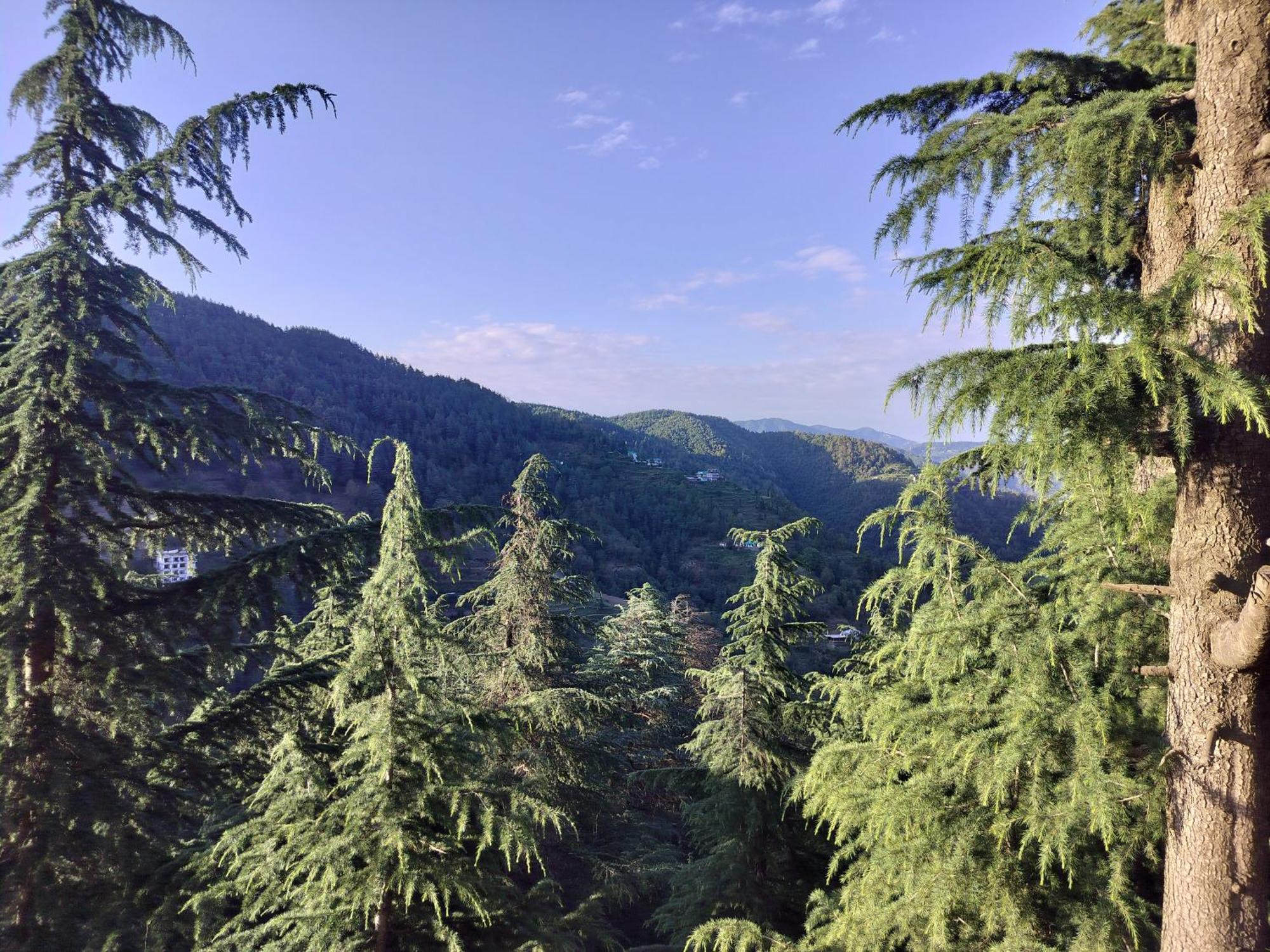 Tree Valley Homestay Чайл Екстериор снимка